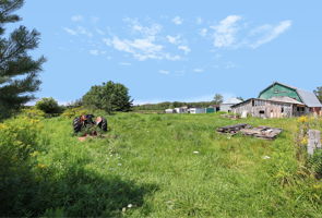  Photo 41