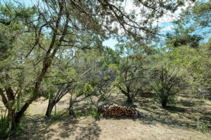 View From Back Deck