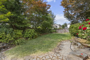 Photo 49