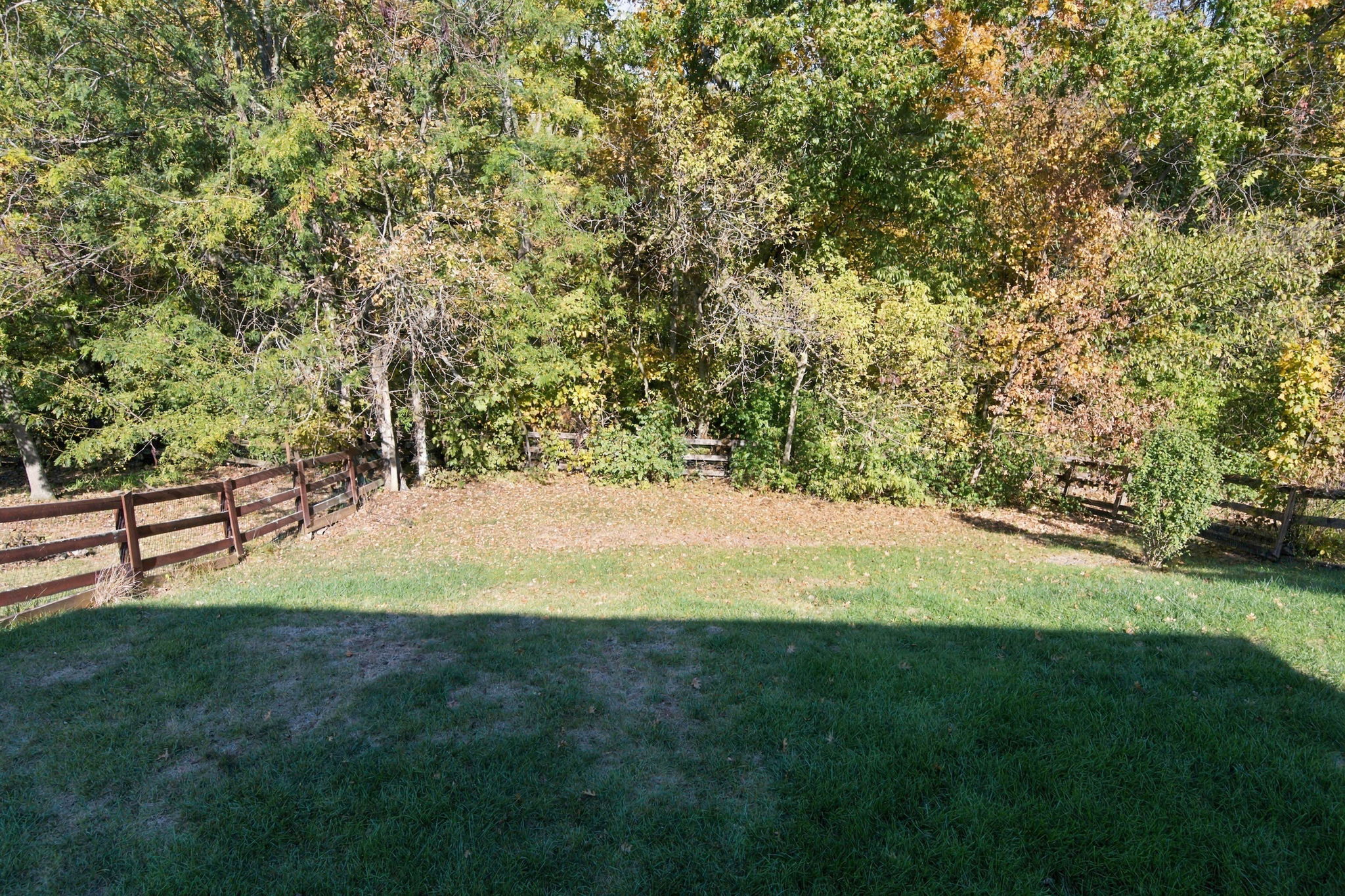  Photo 51