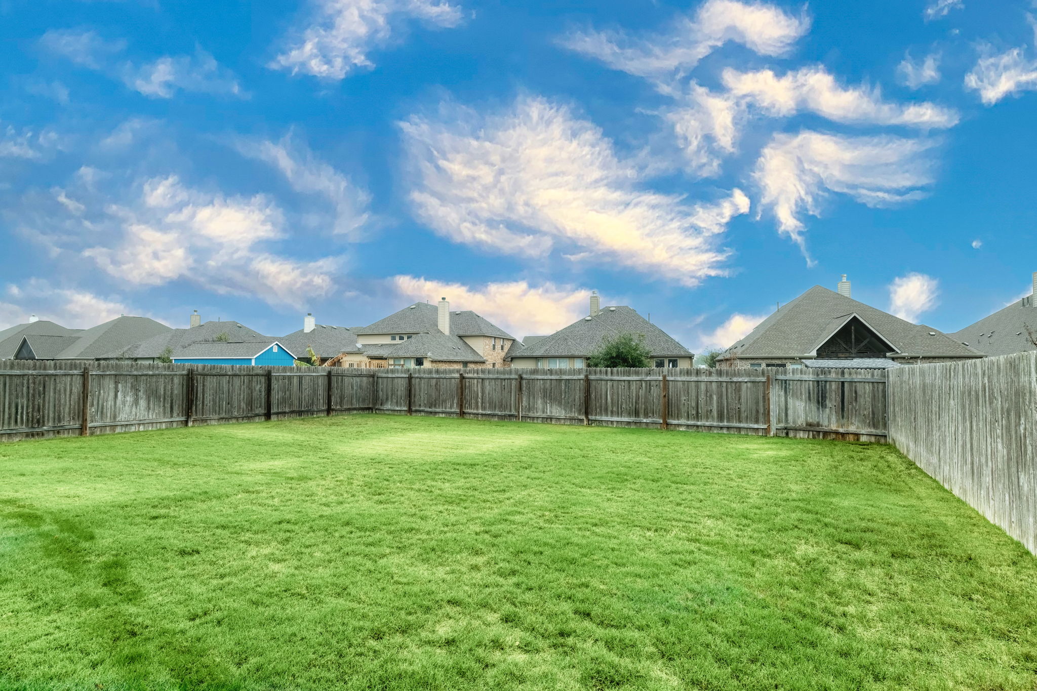 Back Yard