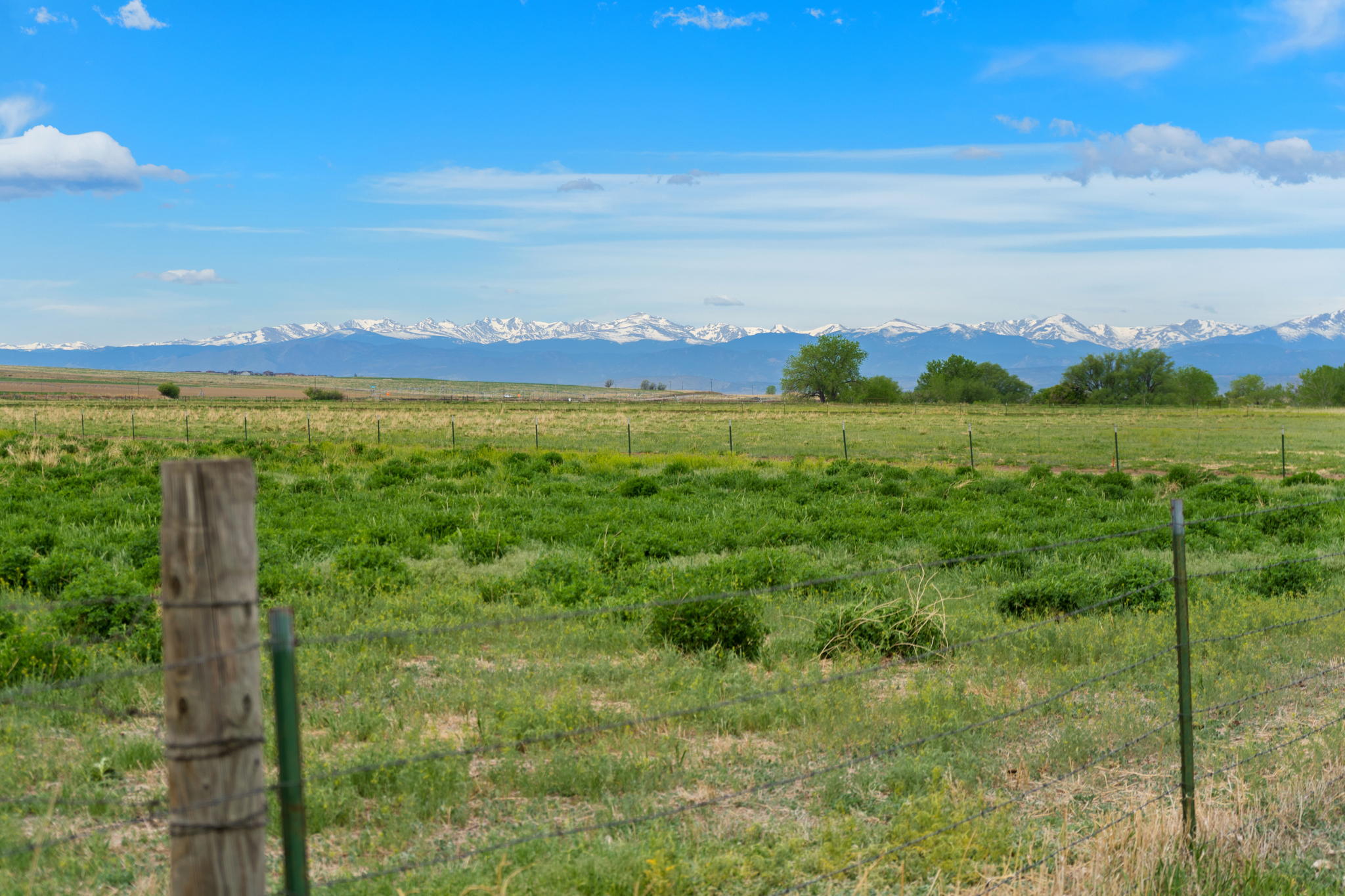 Vacant Lot Co Rd 13, Johnstown, CO 80534 Boxwood Photos