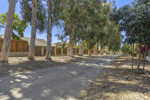  Photo 49