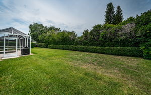 Backyard1