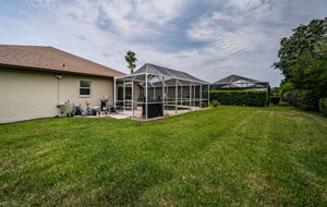 Backyard2