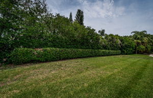Backyard4
