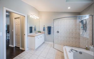 Master Bathroom1b