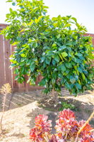  Photo 47