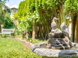  Photo 115