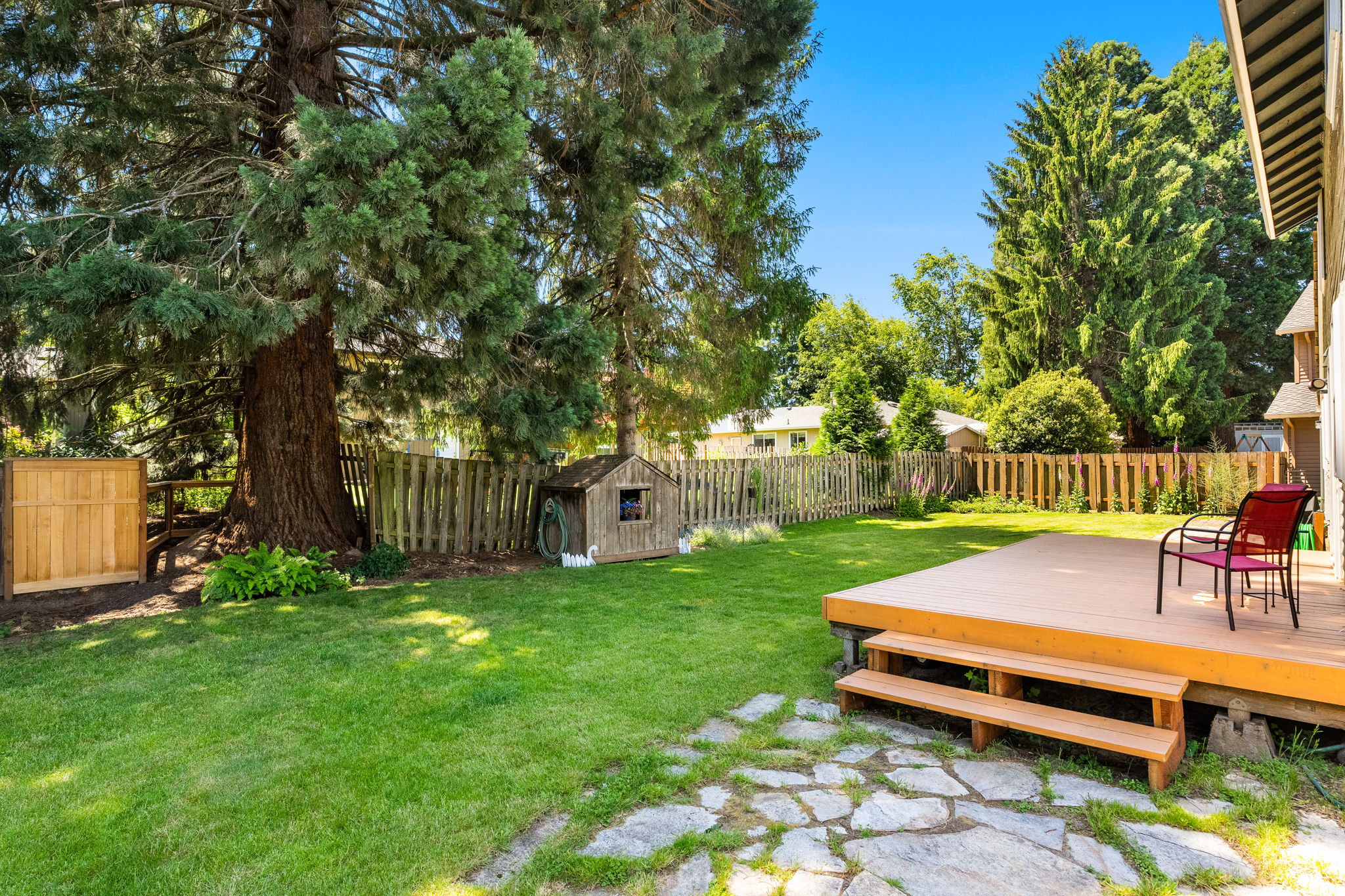 Backyard