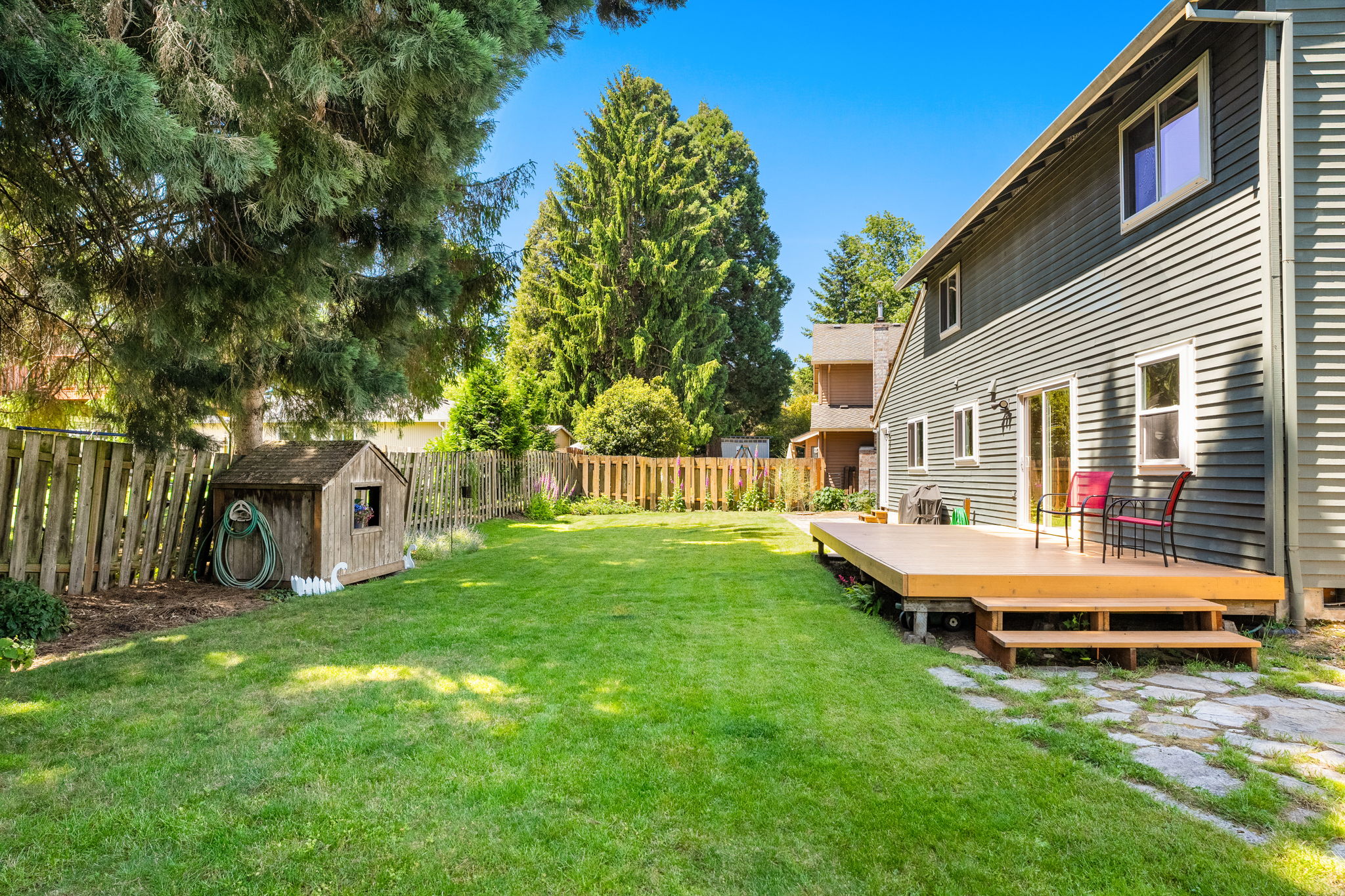 Backyard