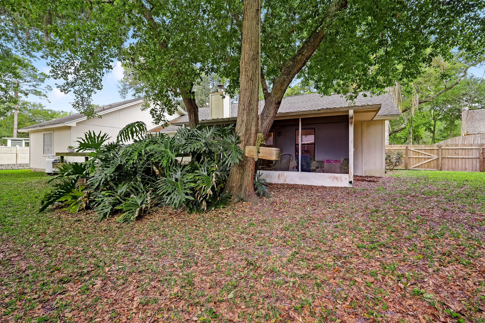 Back Yard