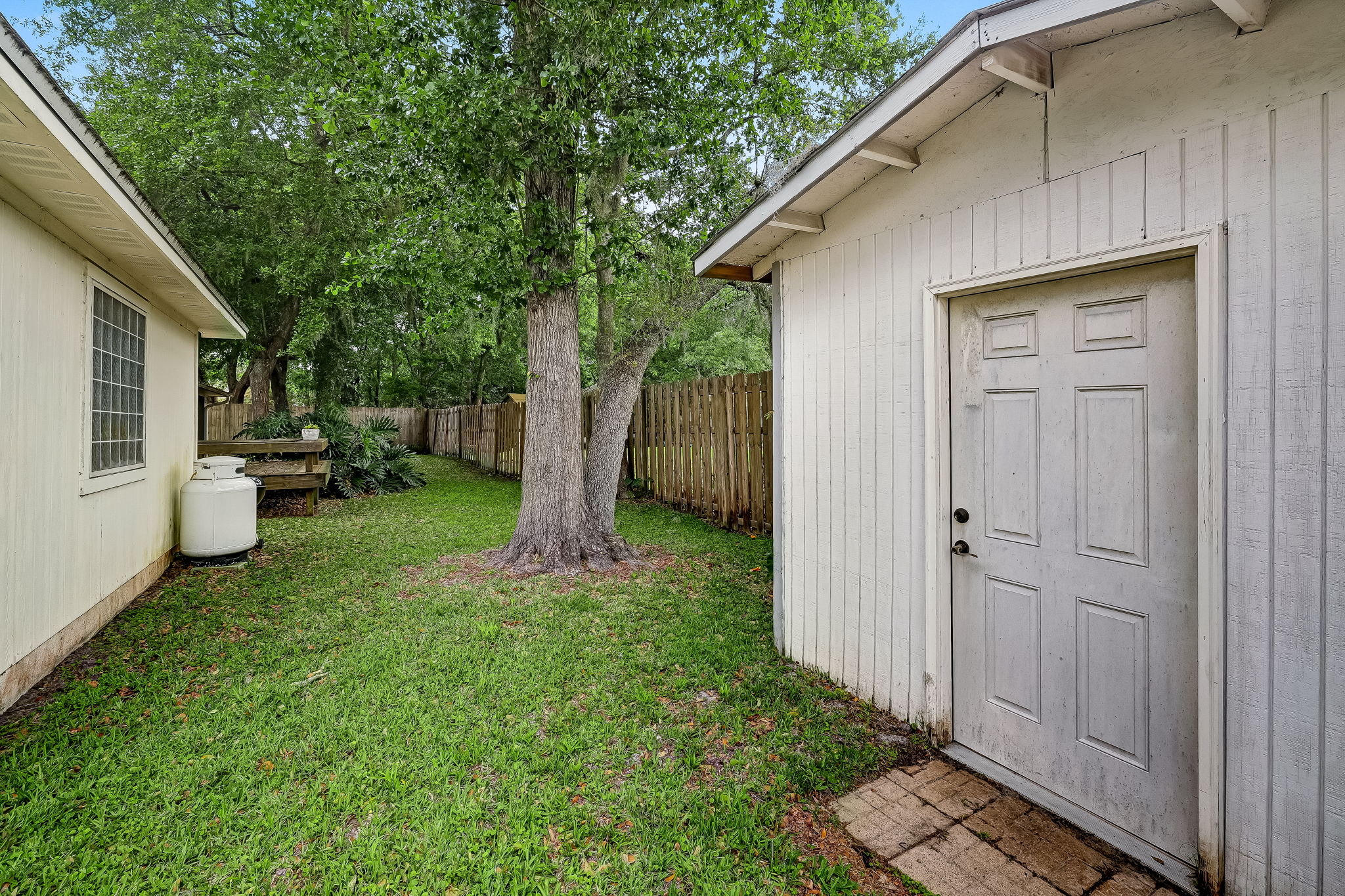 Shed
