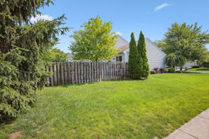  Photo 24