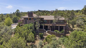 Aerial Back