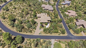 Birds Eye