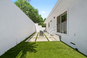 Back yard