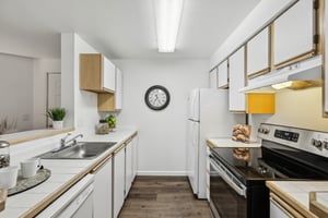 100th St SW d104-03042025-013.jpg