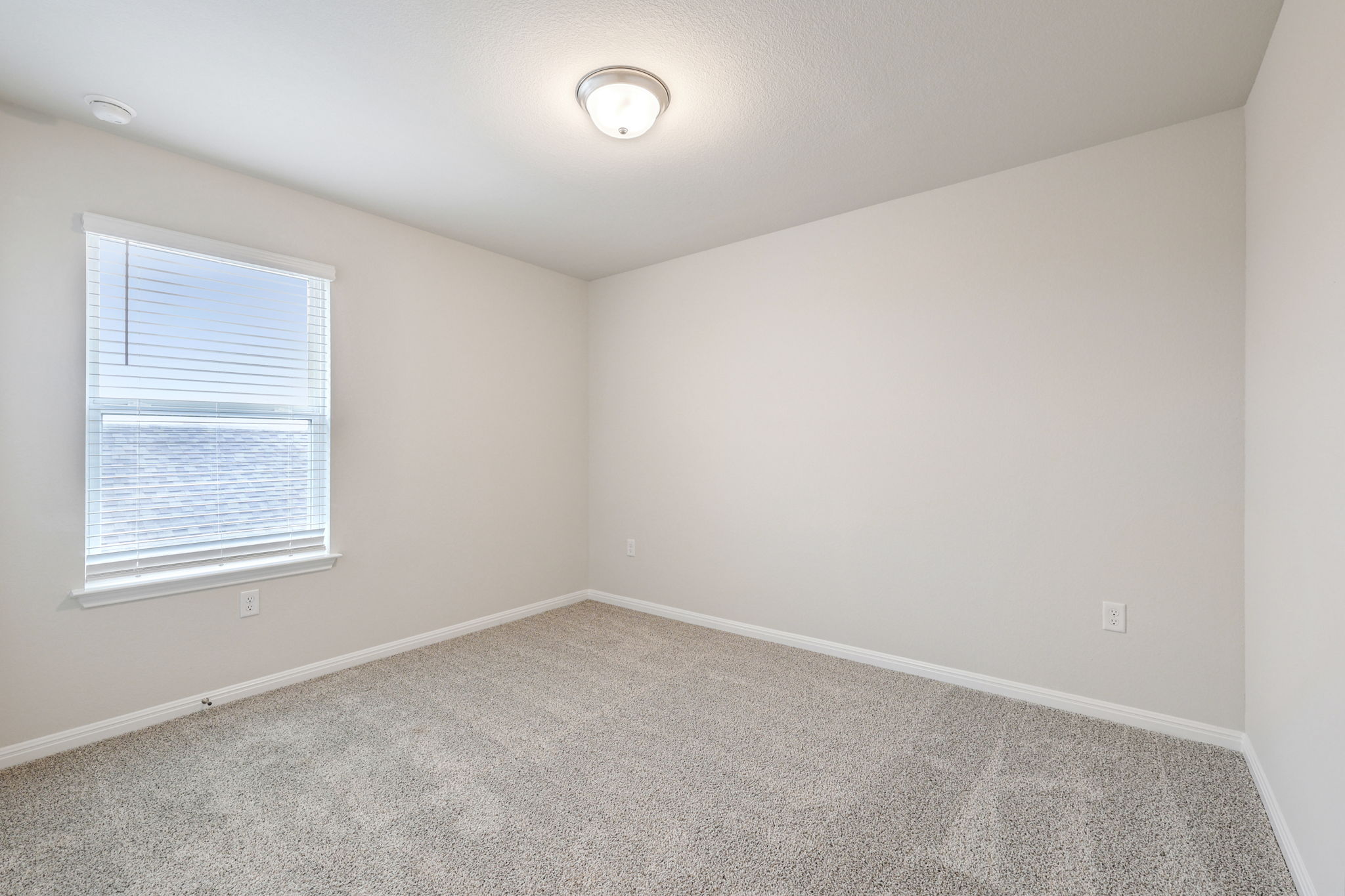 Austin- Flora - 215 Brandywine Rd, Hutto, TX 78634-034