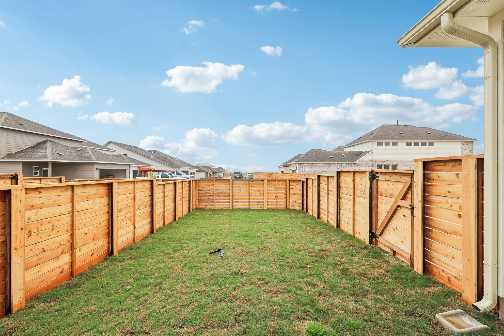 Austin- Flora - 215 Brandywine Rd, Hutto, TX 78634-047