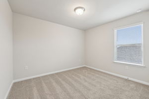 Austin- Flora - 215 Brandywine Rd, Hutto, TX 78634-036