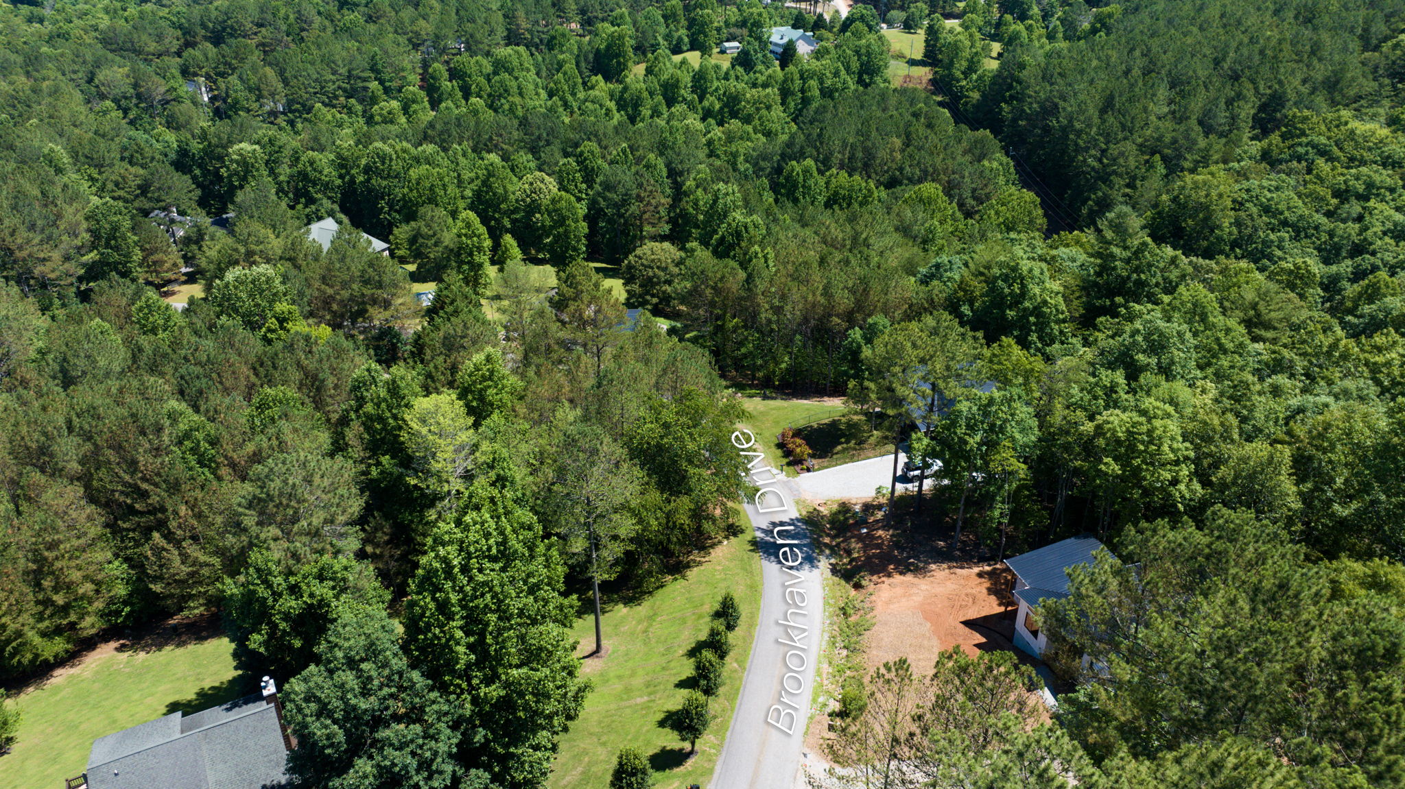  Photo 44