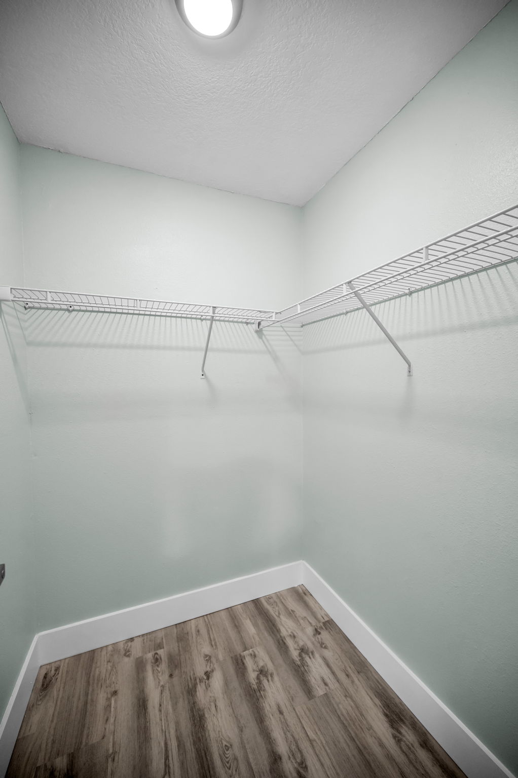 Primary Bedroom Walk-in Closet