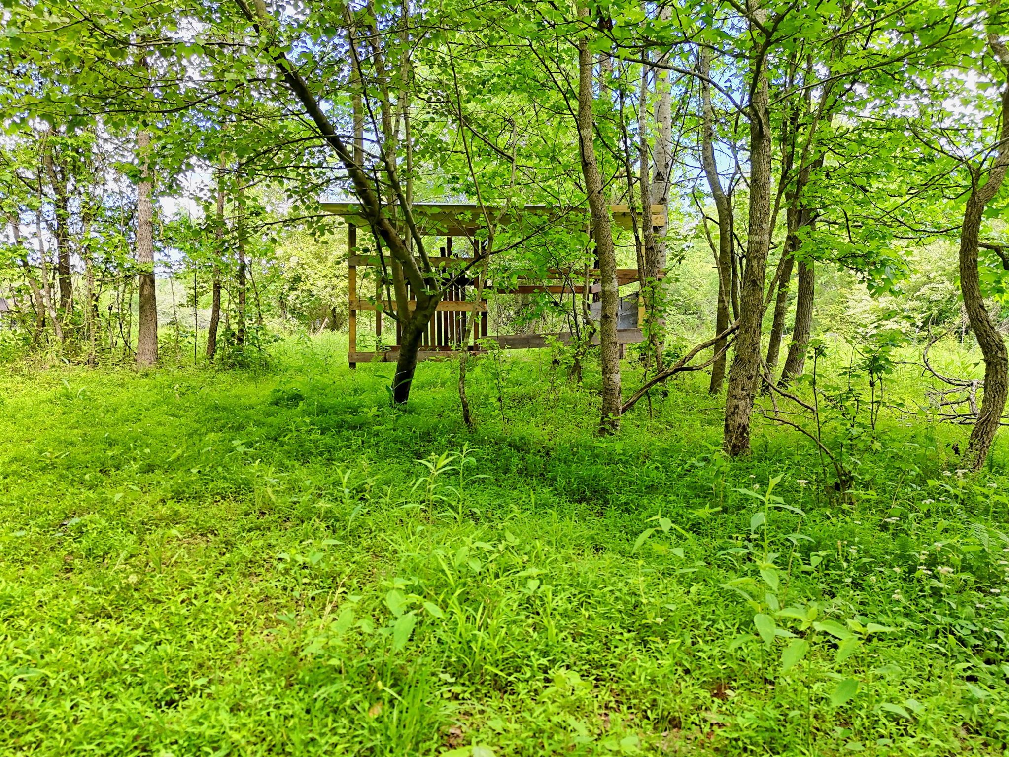  Photo 25
