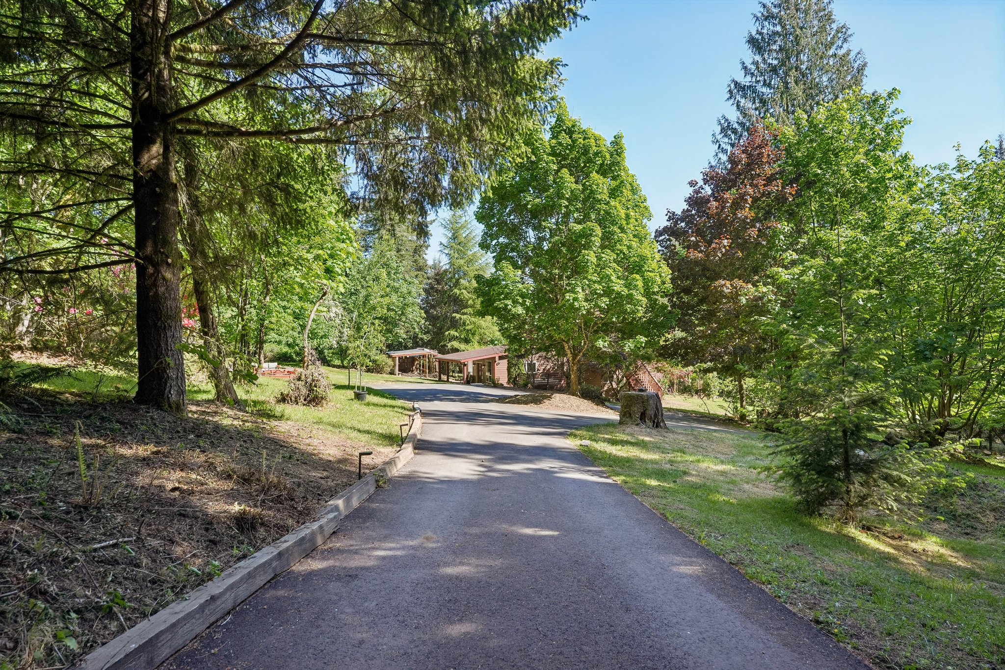 NE 386th St-S1205-051.jpg