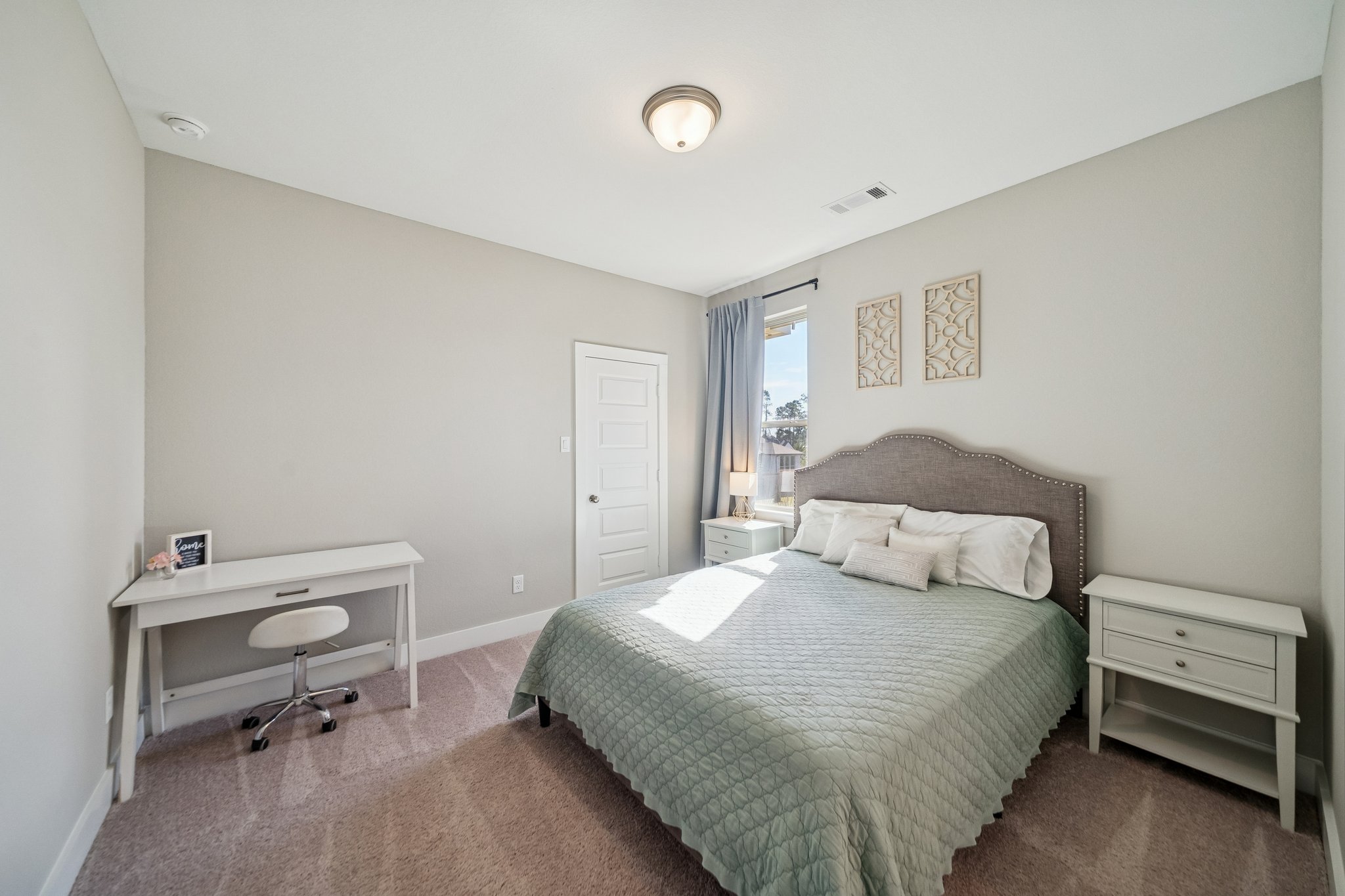 215 Nirnroot Ct, Montgomery, TX 77316-022.jpg