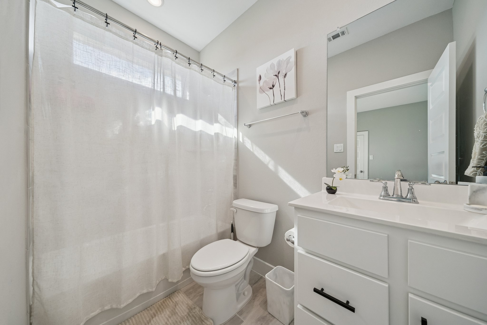 215 Nirnroot Ct, Montgomery, TX 77316-023.jpg