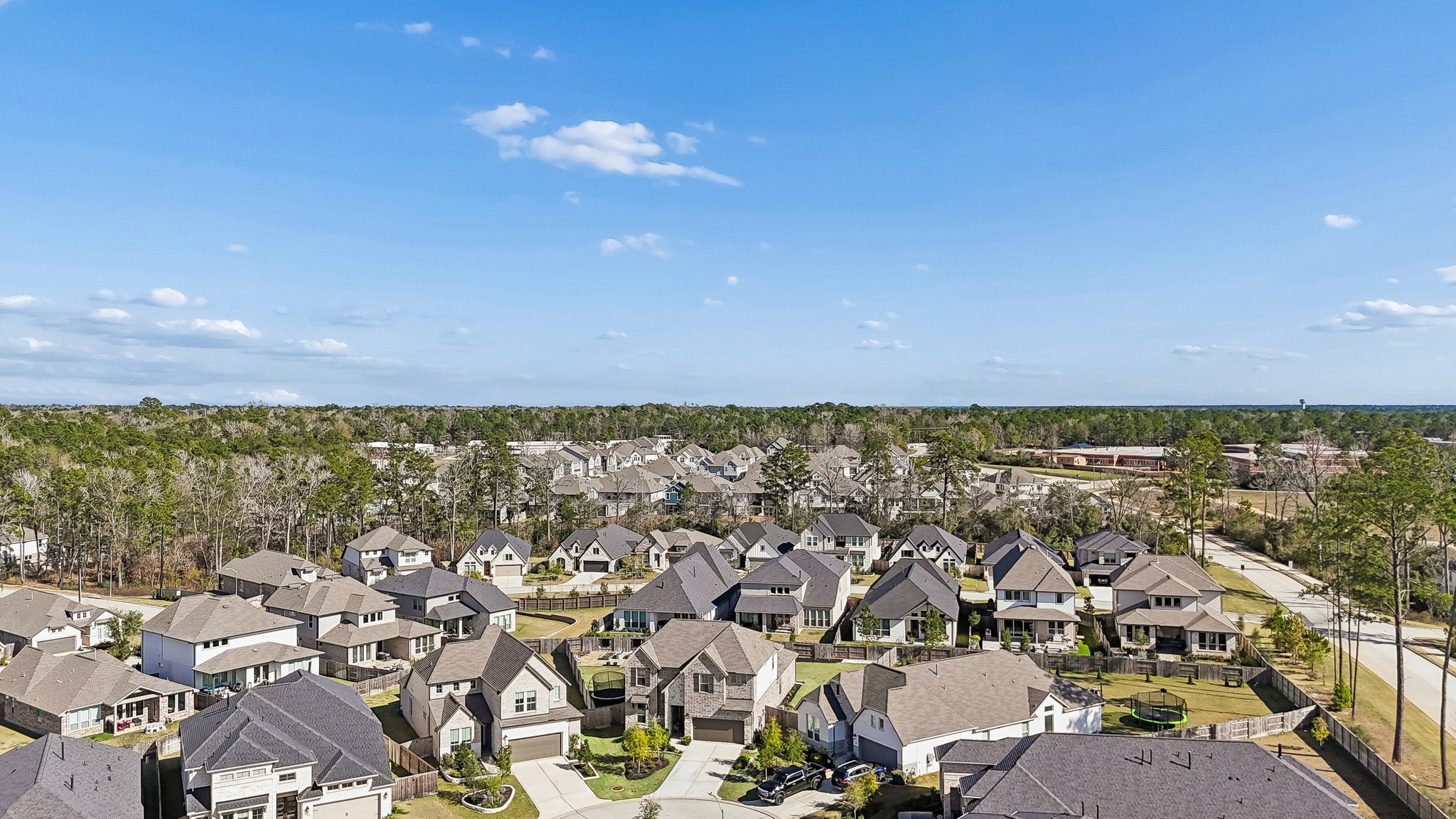 215 Nirnroot Ct, Montgomery, TX 77316-044.jpg