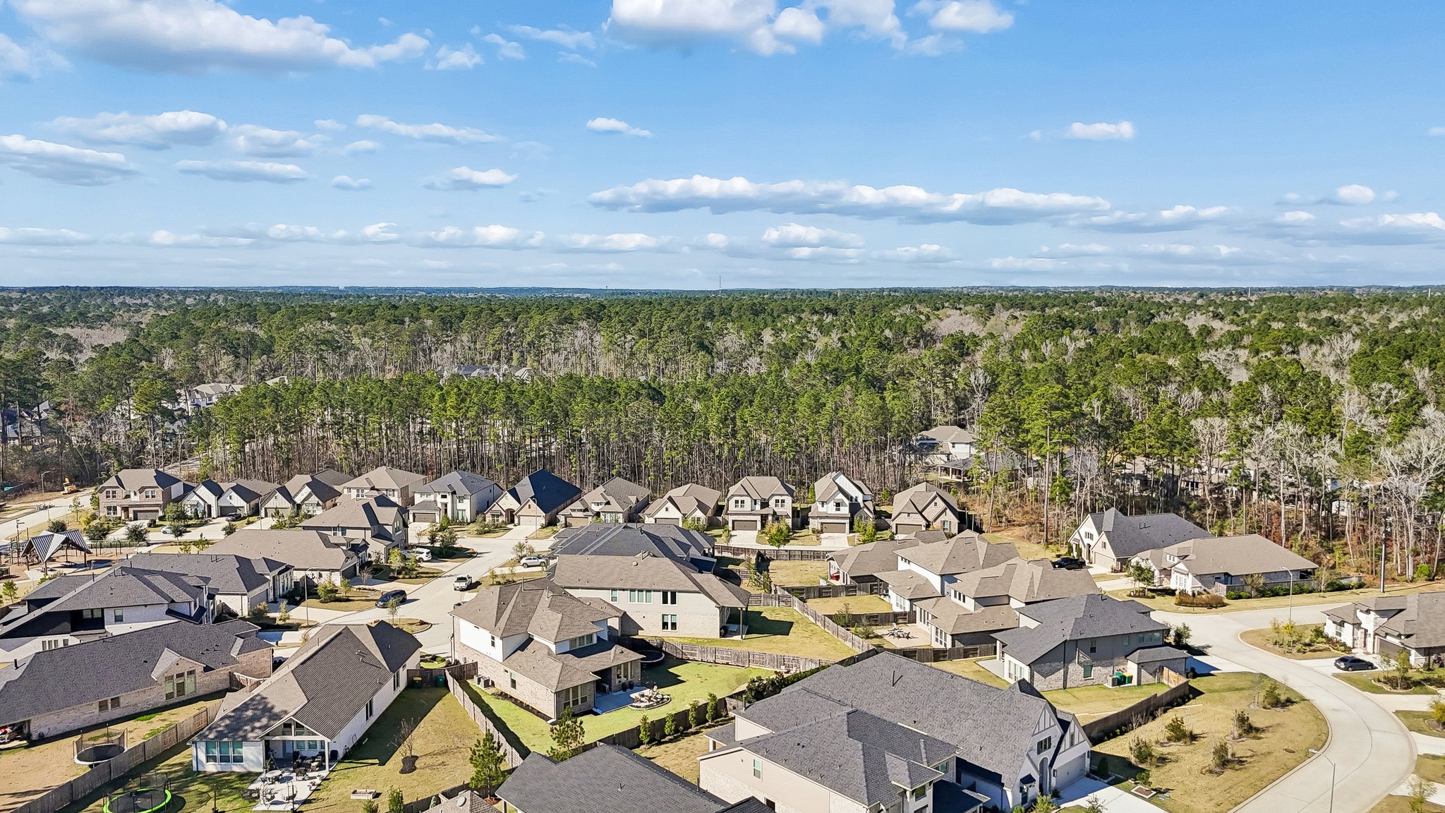 215 Nirnroot Ct, Montgomery, TX 77316-046.jpg