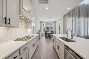 215 Nirnroot Ct, Montgomery, TX 77316-016.jpg