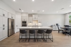 215 Nirnroot Ct, Montgomery, TX 77316-019.jpg