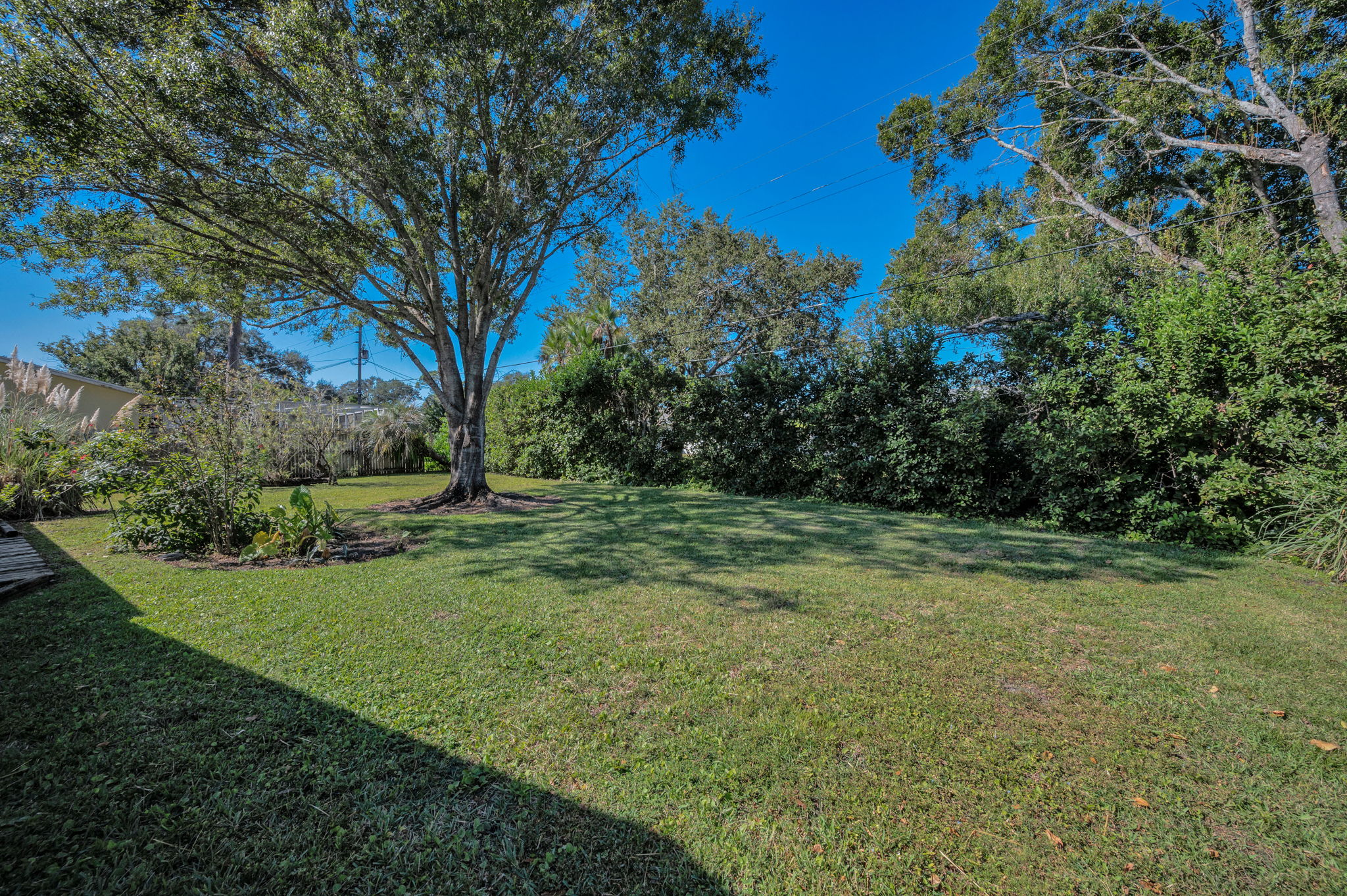 Backyard1