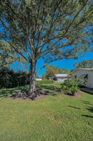 Backyard5