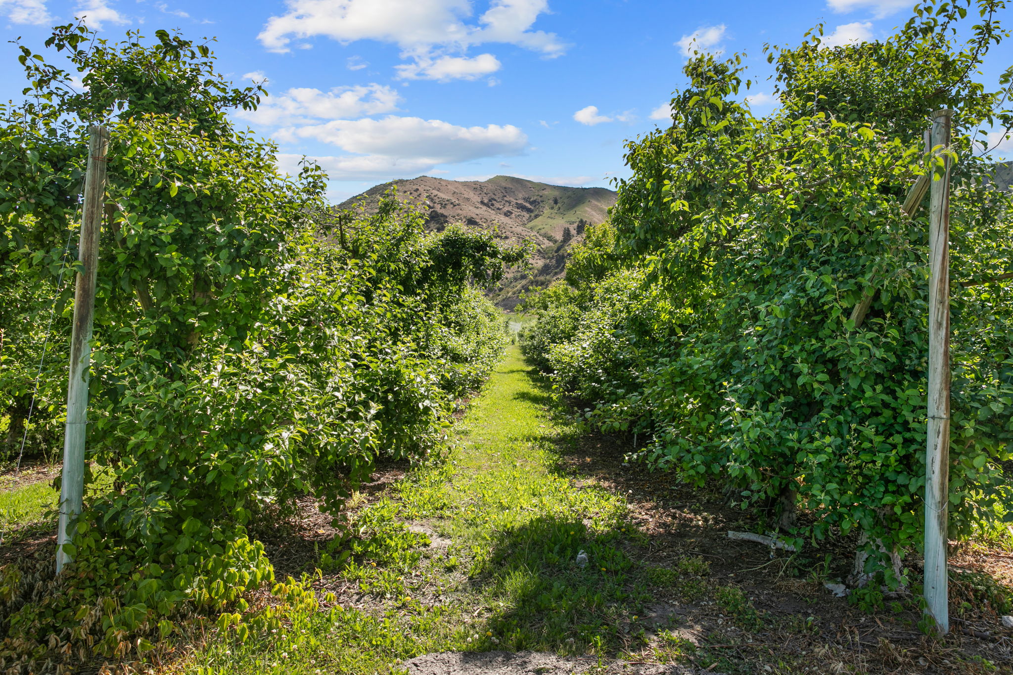  Photo 41