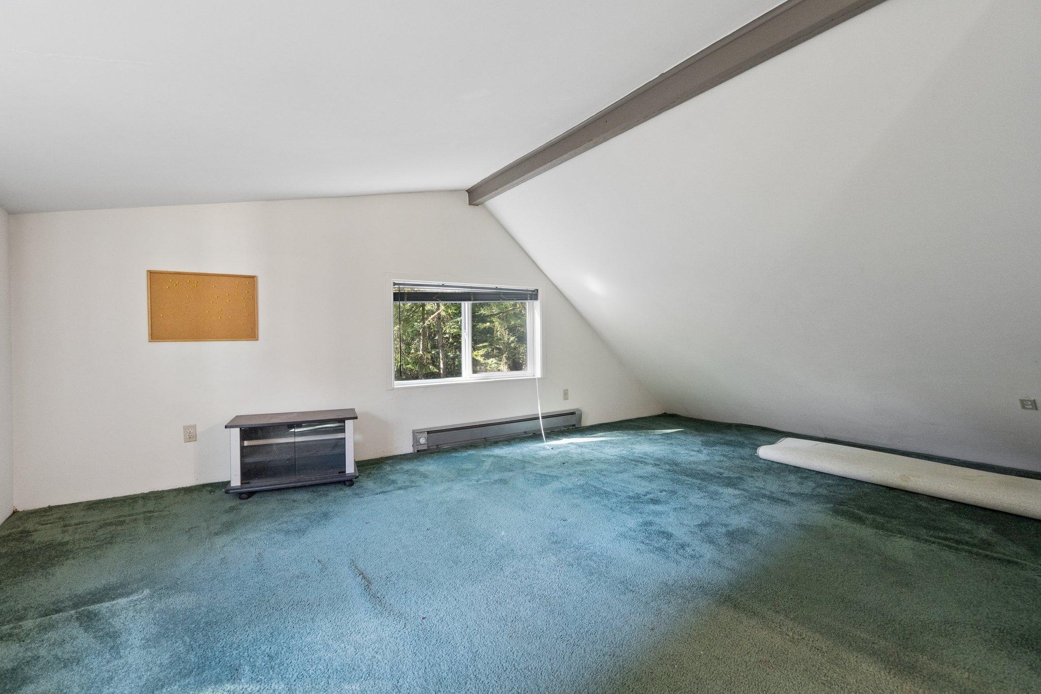 118.jpg