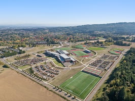 172.jpg