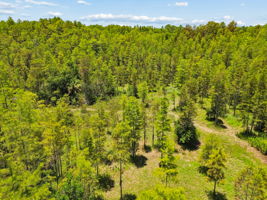 DJI_0885