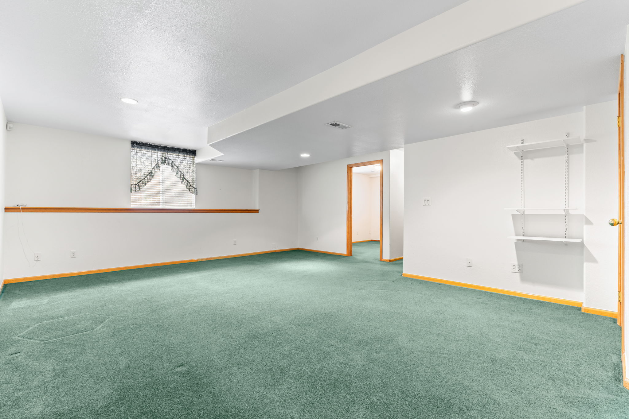 Basement family room