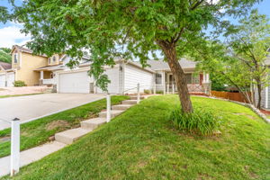 Front shade tree