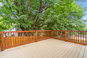 Trex deck with shade tree