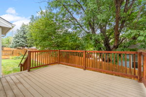 Trex deck with shade tree