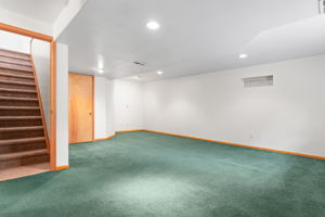 Basement family room