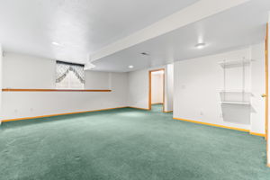 Basement family room