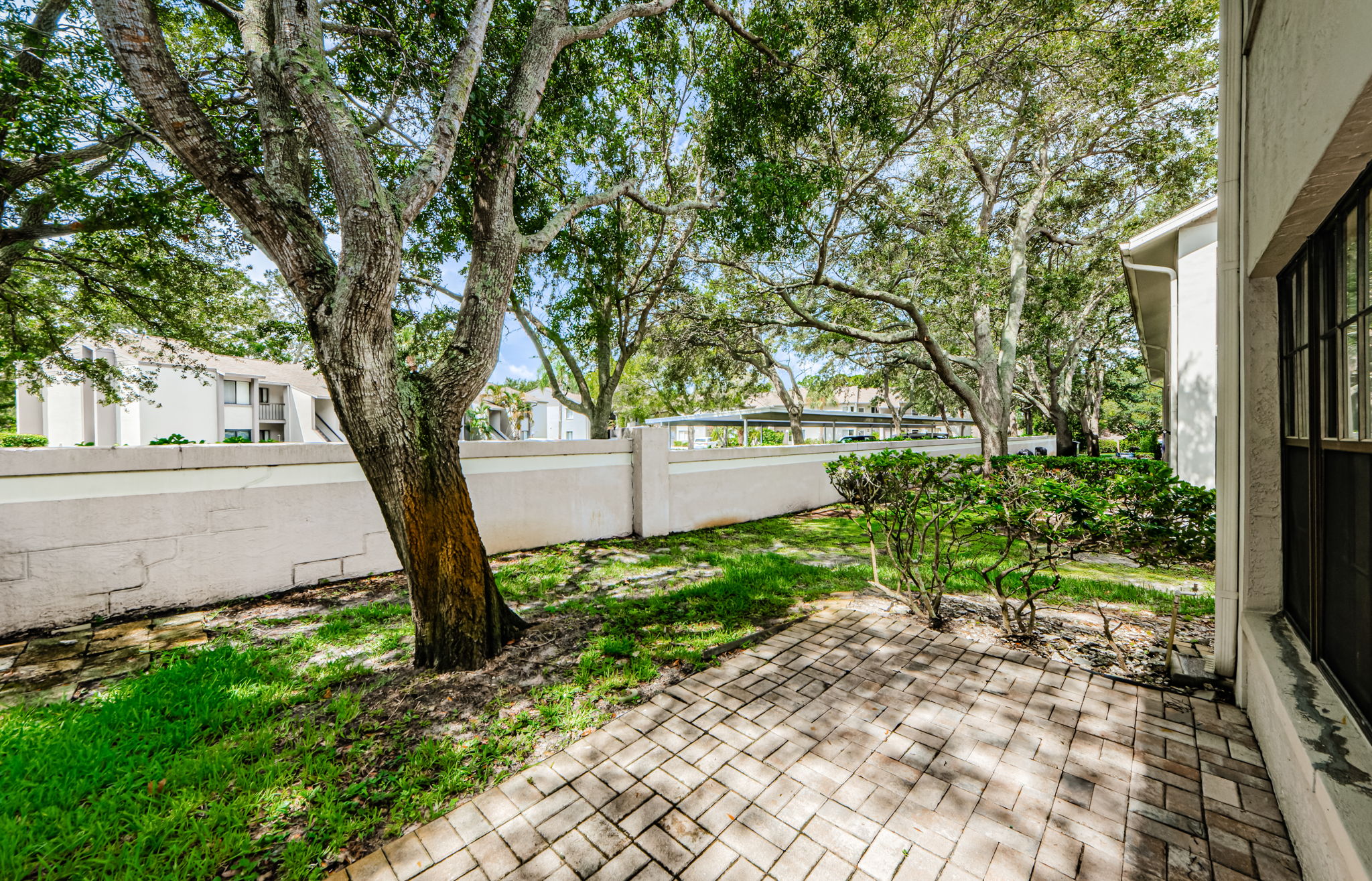 Patio 2