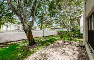 Patio 2