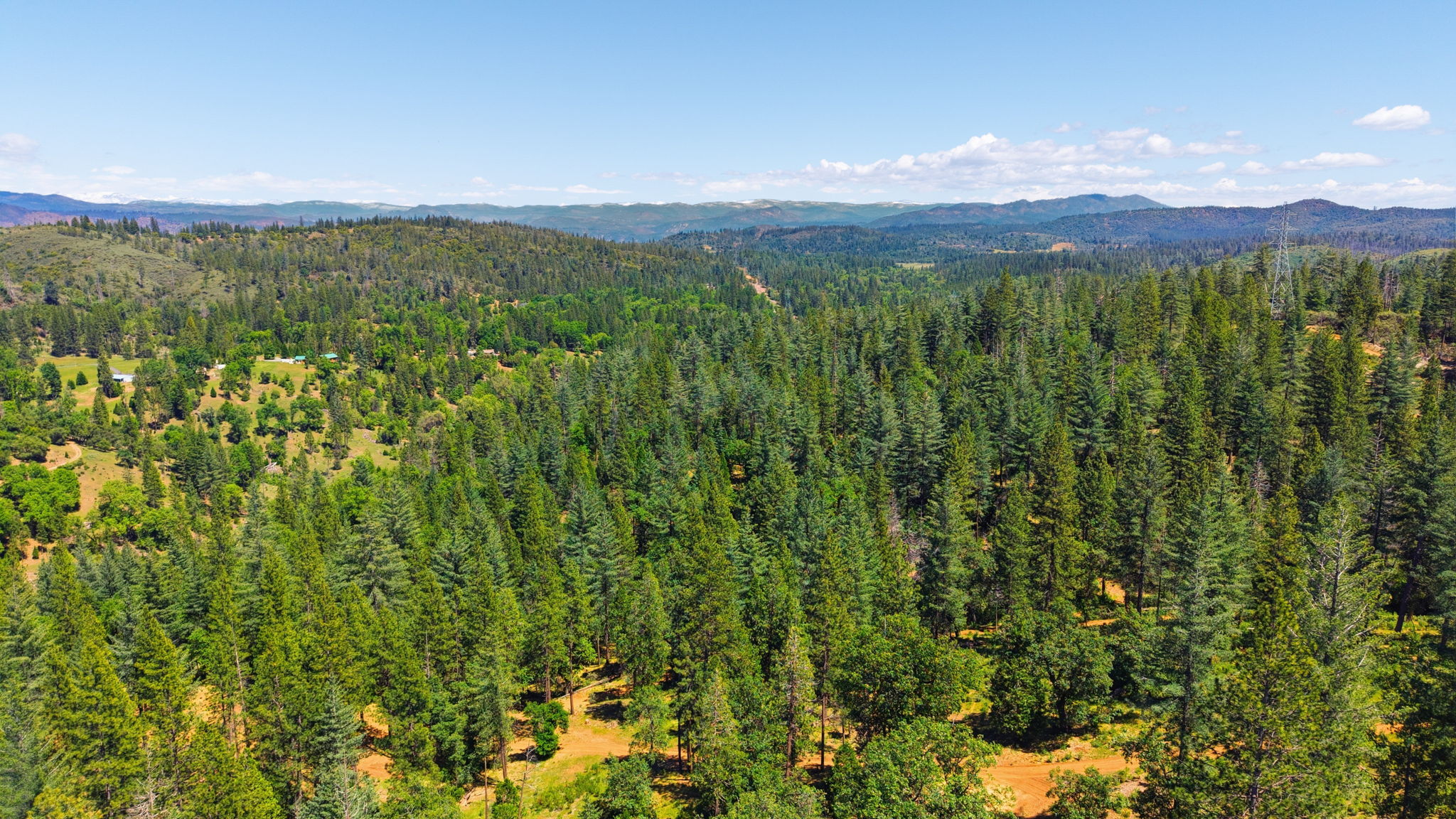  Photo 32